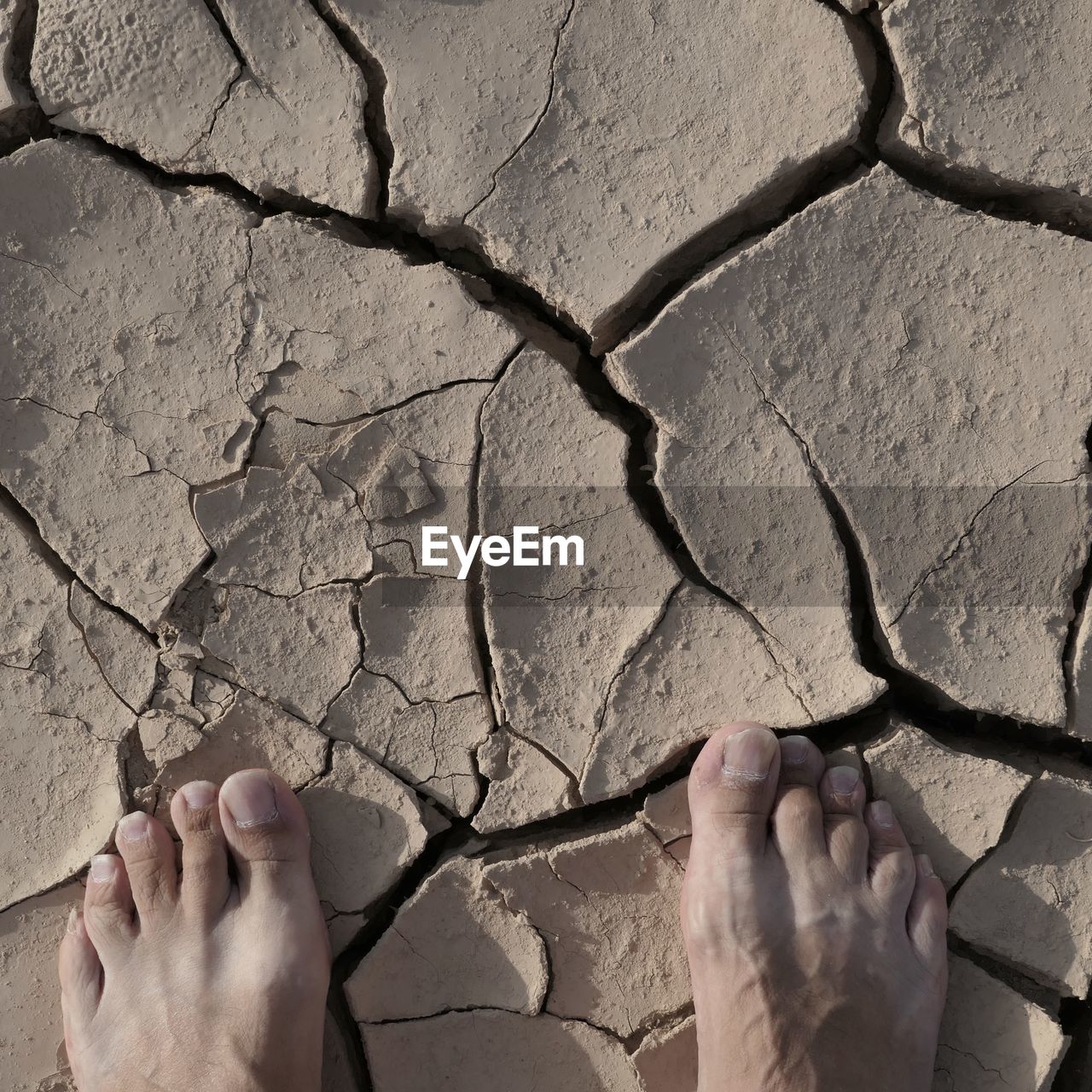 Low section of person standing on drought land