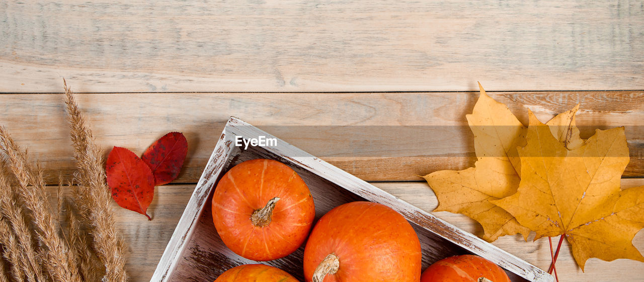 directly above shot of fruits on wooden table