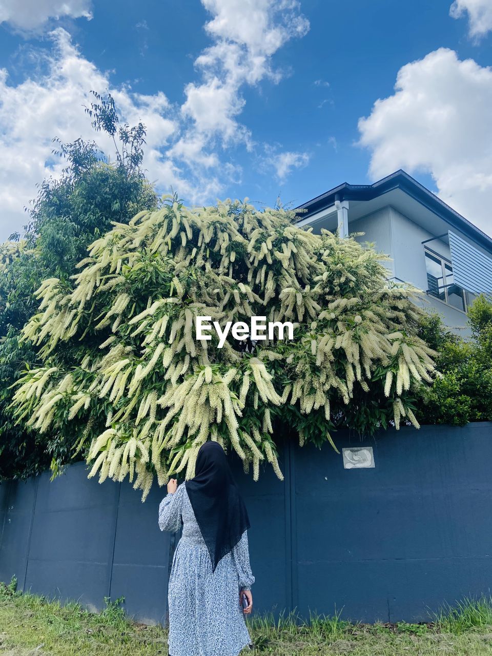 plant, tree, flower, nature, architecture, green, building exterior, cloud, sky, built structure, one person, day, building, shrub, outdoors, blue, growth, grass, house, adult, lifestyles