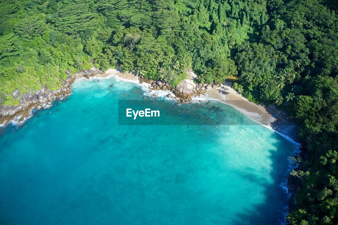 Drone field of view of secret cove with turquoise blue water meeting the forest seychelles.