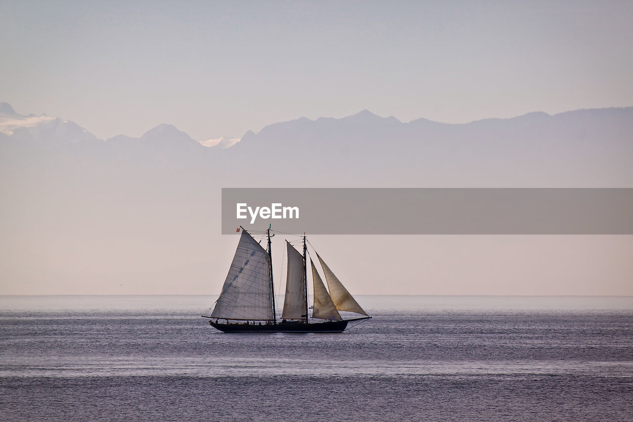 Sailboats on sea