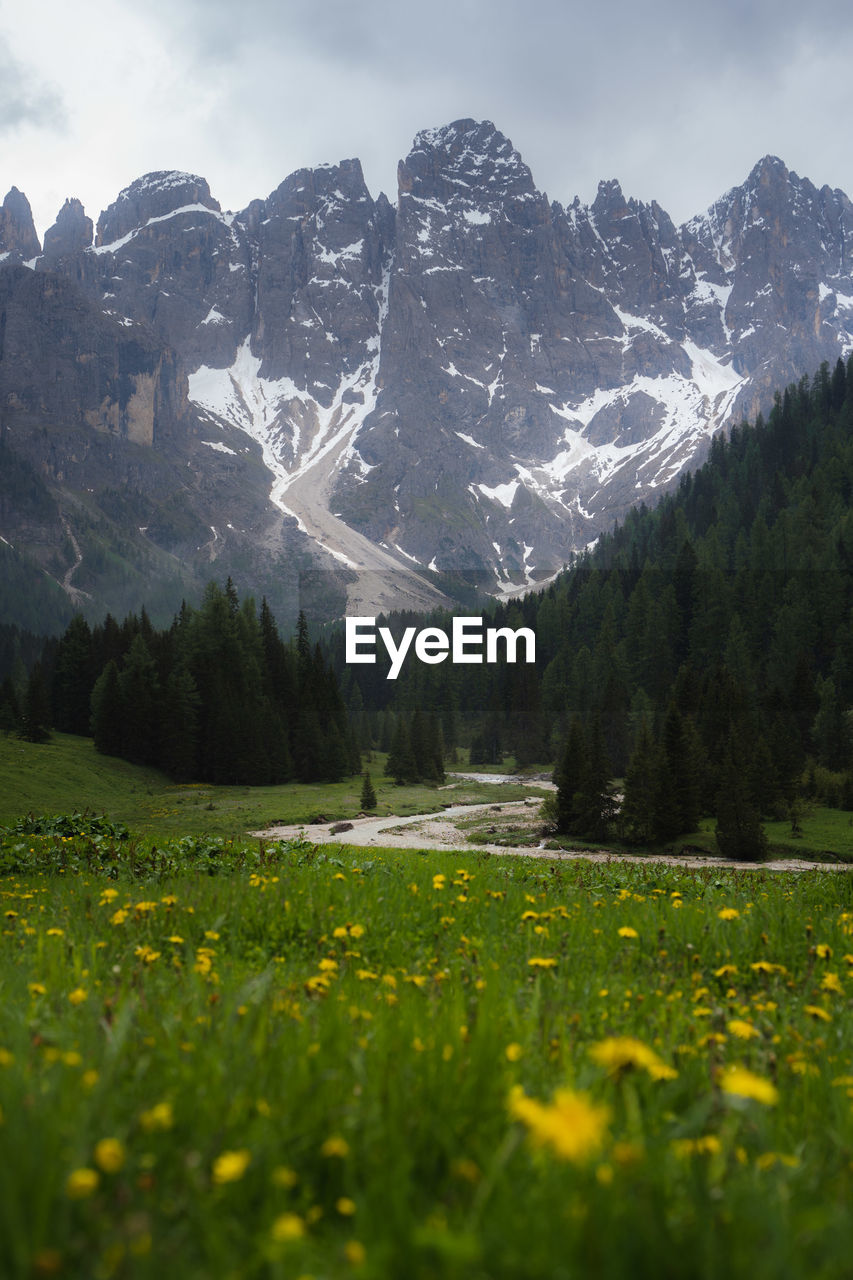 scenic view of field and mountains against sky