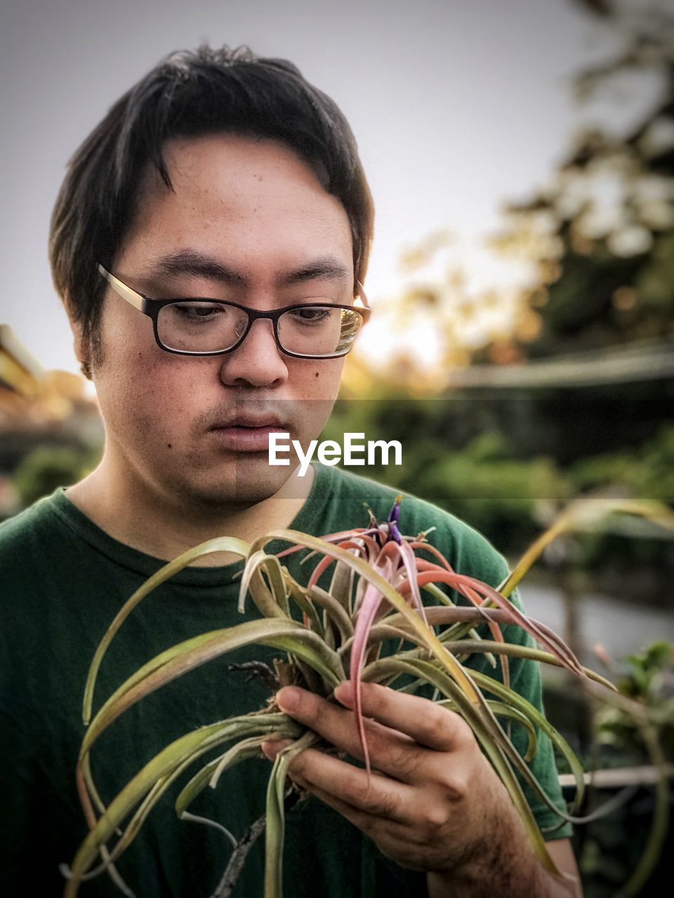 Portrait of young man holding flowering air plant against sky and trees.