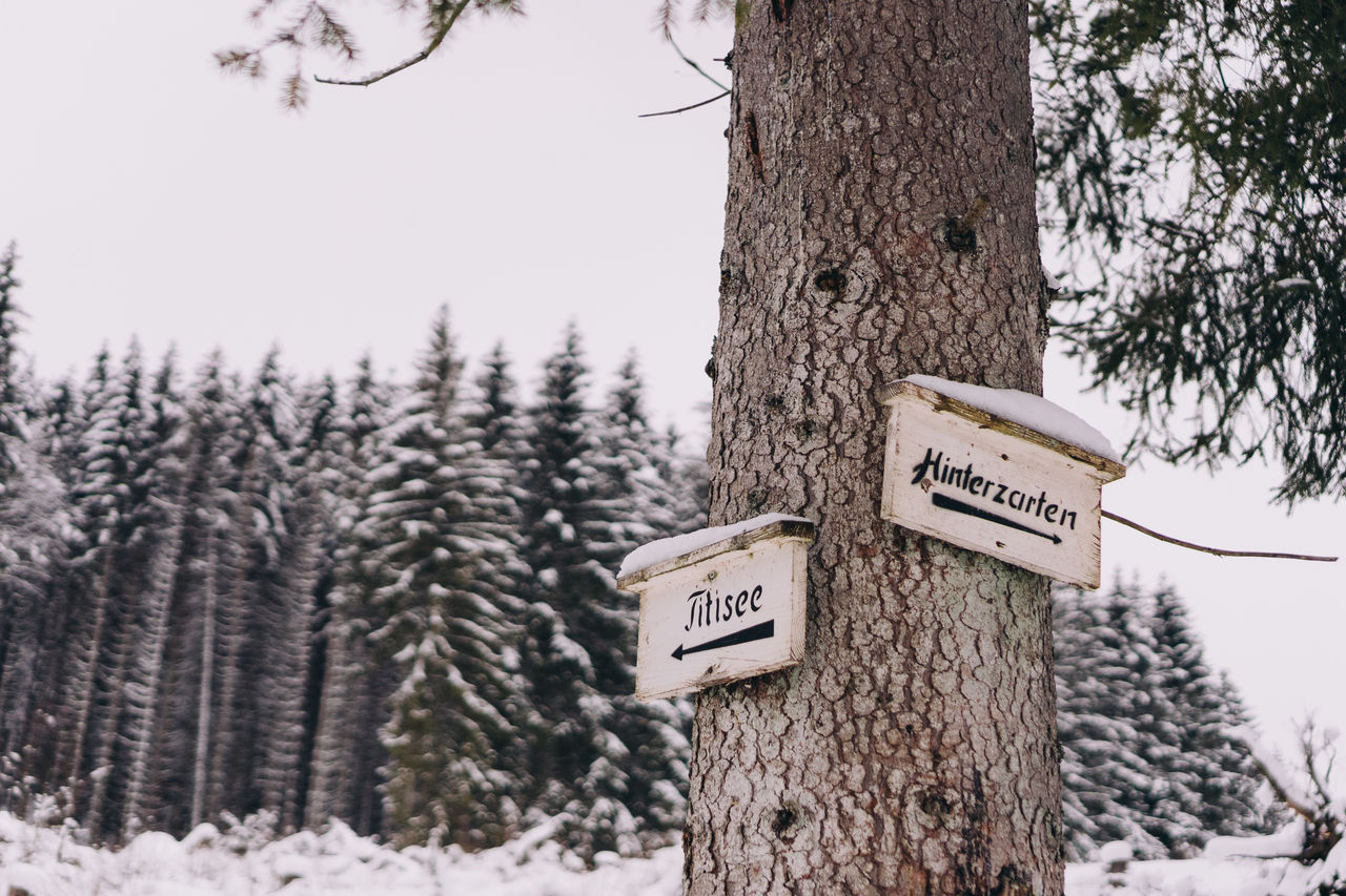 Information sign on tree trunk during winter