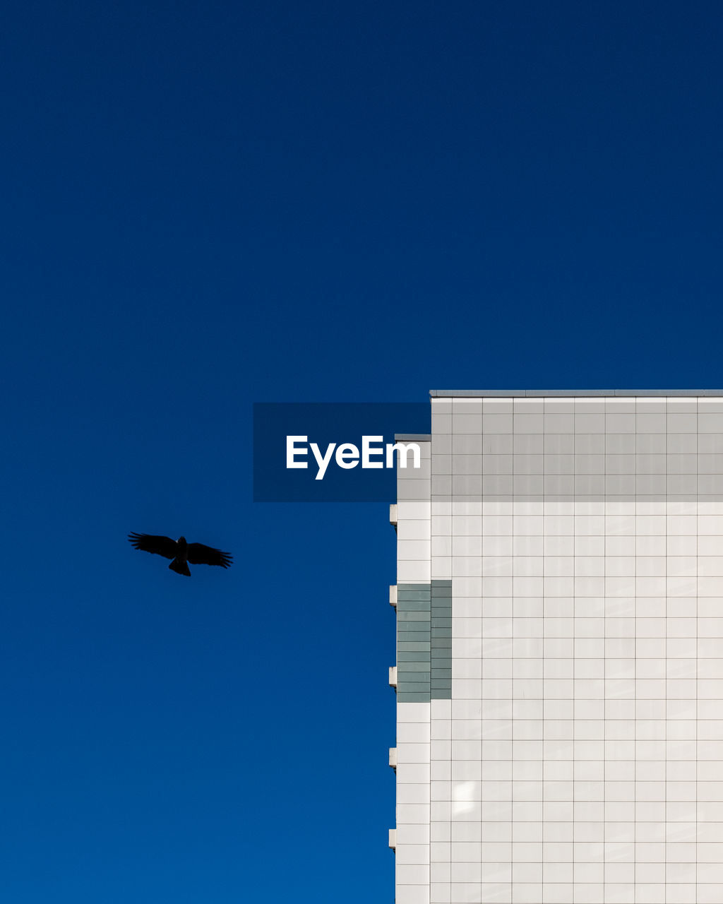 LOW ANGLE VIEW OF AIRPLANE FLYING AGAINST CLEAR BLUE SKY