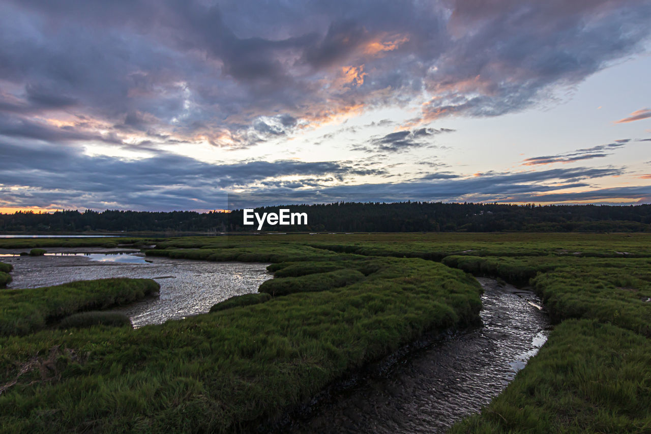 SCENIC VIEW OF RIVER AGAINST SKY