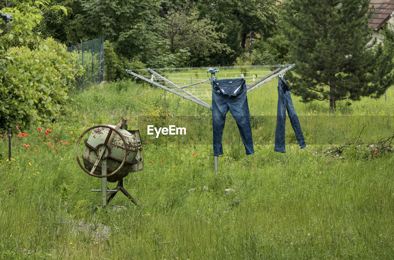 Jeans hanging from clothesline on grassy field at backyard