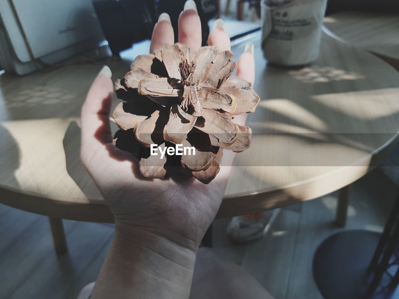 HIGH ANGLE VIEW OF HAND HOLDING FLOWER ON TABLE