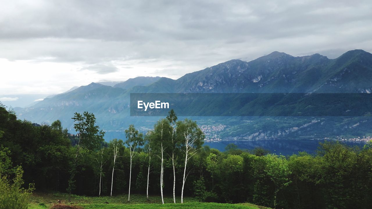 Scenic view of trees and mountains against sky