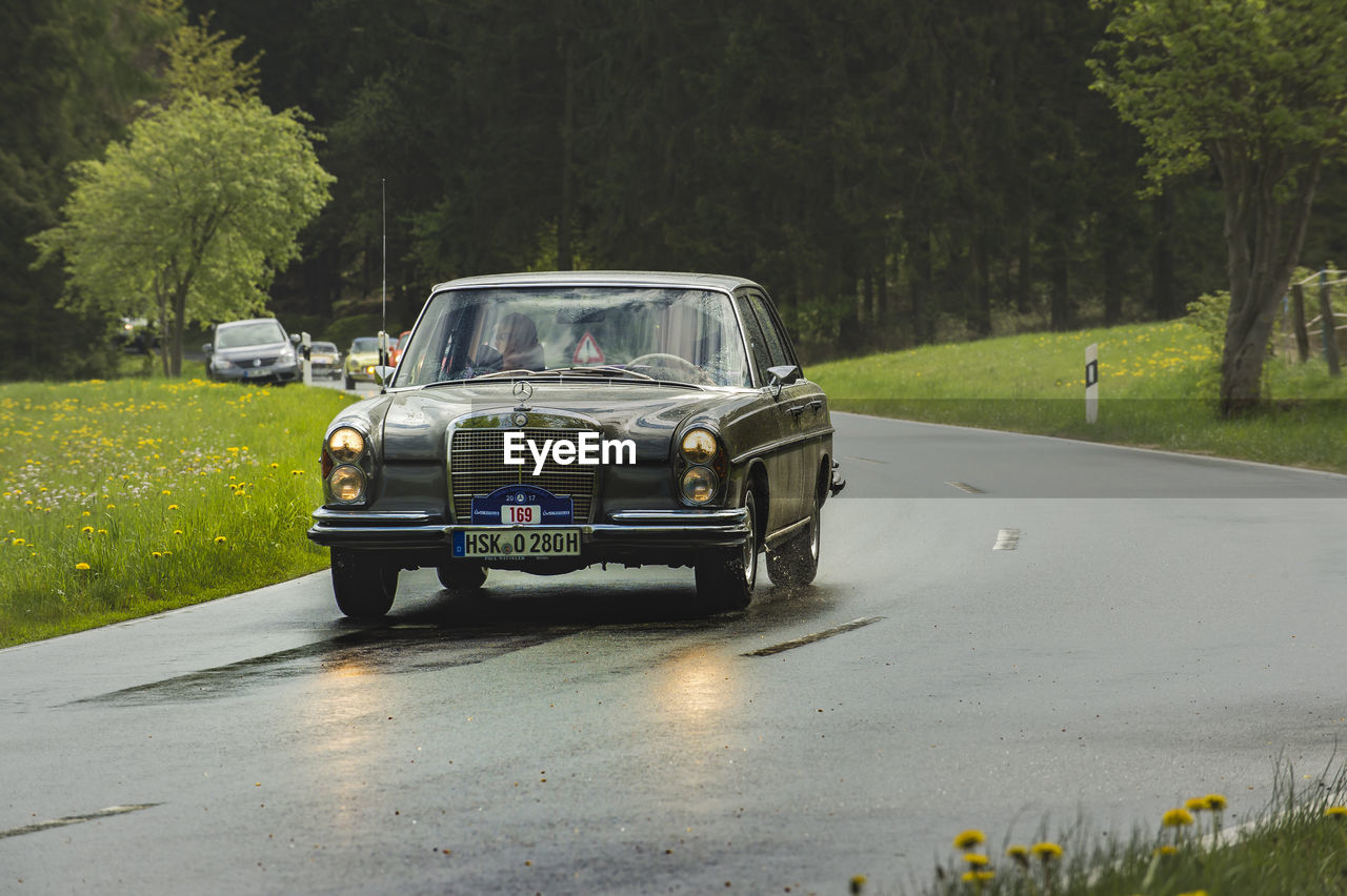 CAR ON ROAD AMIDST TREES