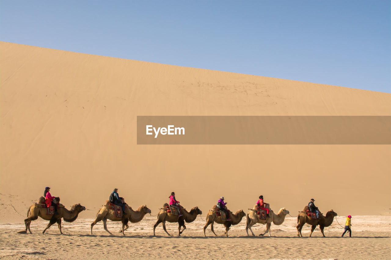 View of people riding kamels in desert against sky