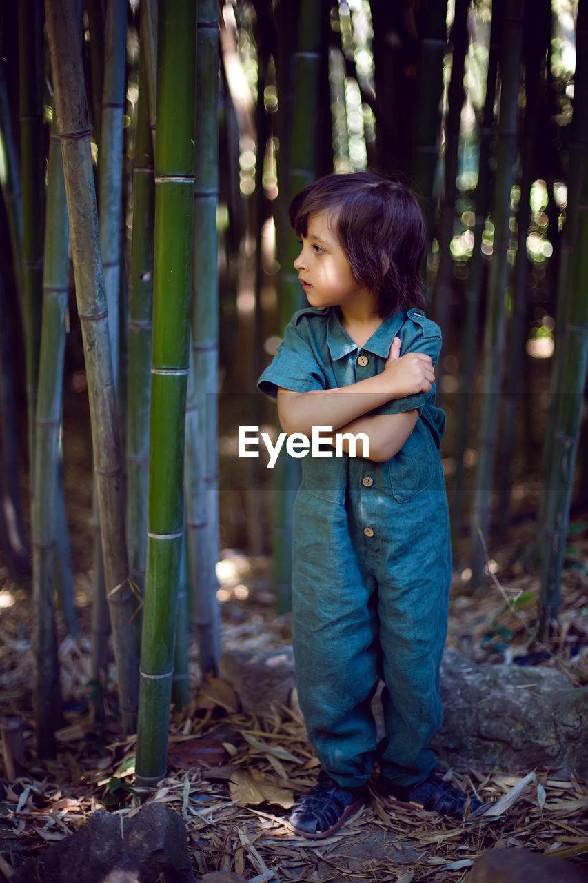 Boy child in a green jumpsuit walks among tall bamboos in the summer afternoon