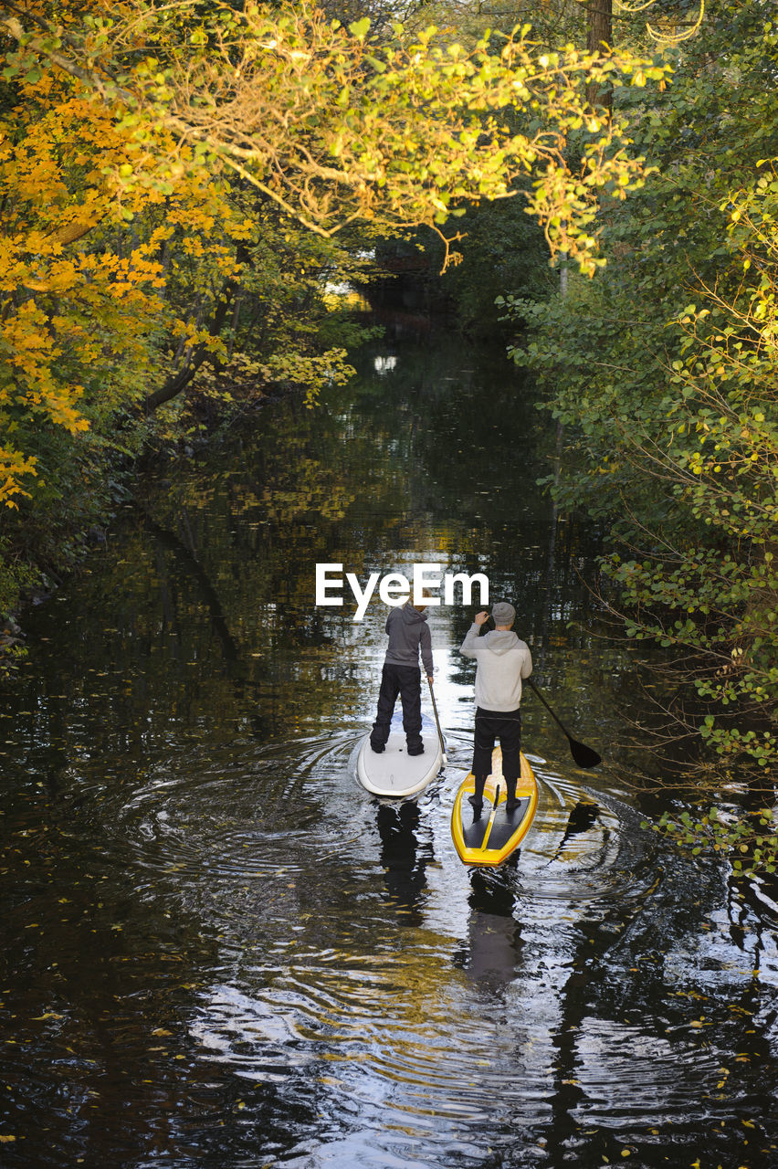 Two people rowing paddle boards in autumn trees, elevated view