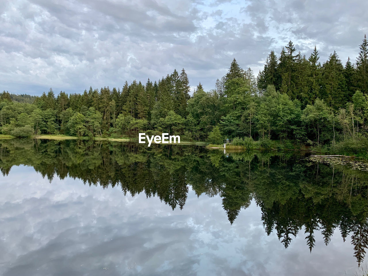 REFLECTION OF TREES ON LAKE AGAINST SKY