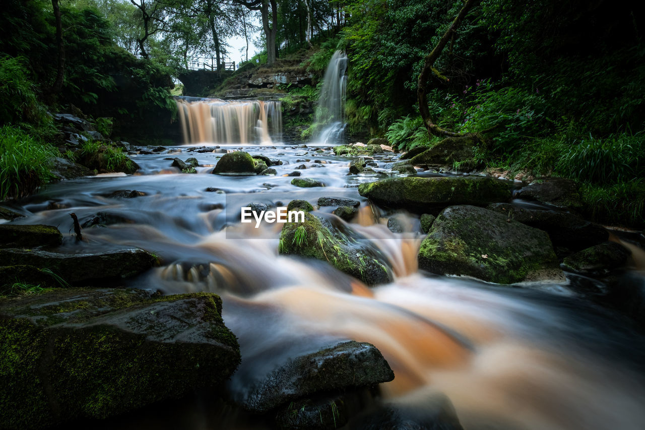 Scenic view of waterfall in forest