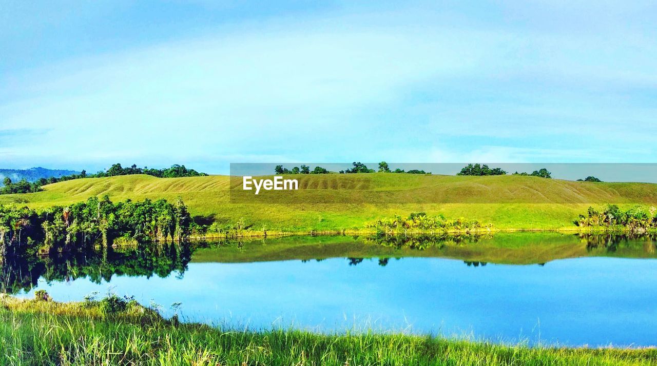 Scenic view of green landscape