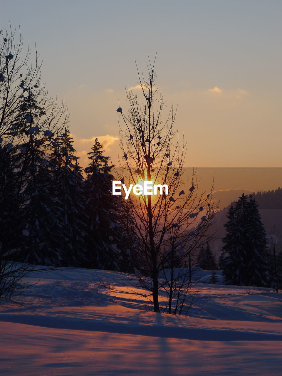 Scenic view of snow covered landscape during sunset