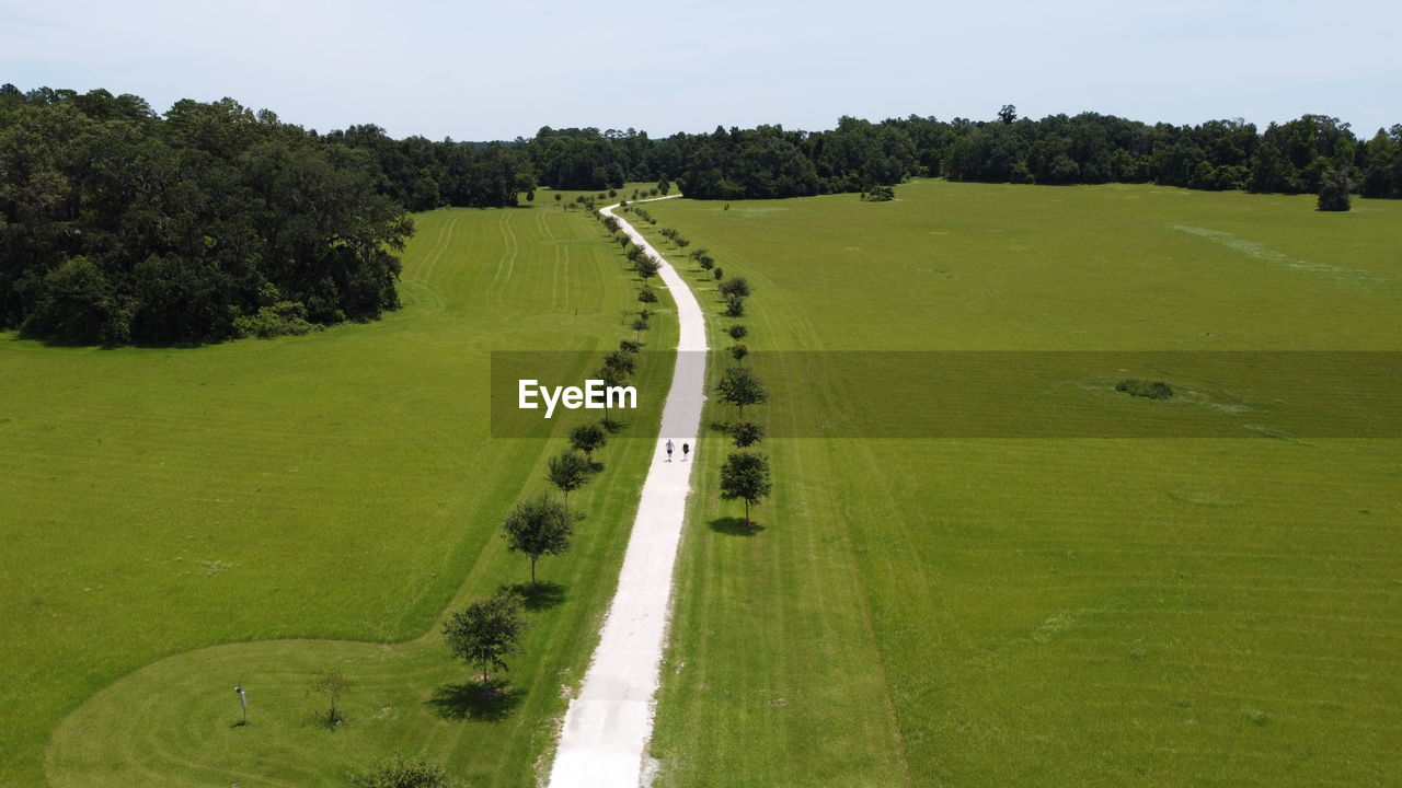 Scenic view from a drone of a stylish path in through a green space