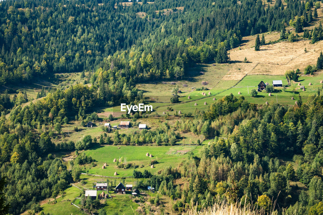 plant, tree, landscape, scenics - nature, land, environment, beauty in nature, green, mountain range, growth, field, nature, aerial photography, tranquility, mountain, valley, tranquil scene, rural scene, high angle view, forest, non-urban scene, no people, agriculture, foliage, house, pine tree, idyllic, lush foliage, meadow, wilderness, day, architecture, coniferous tree, building, pinaceae, outdoors, grass, sunlight, woodland, rural area, plateau, natural environment, pine woodland, built structure, residential district, farm, building exterior, ridge