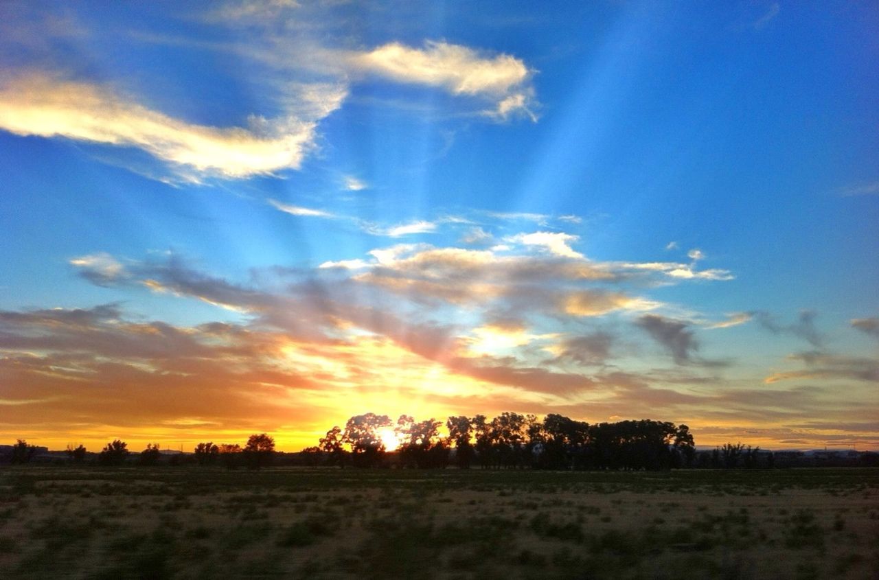 SUNSET OVER FIELD