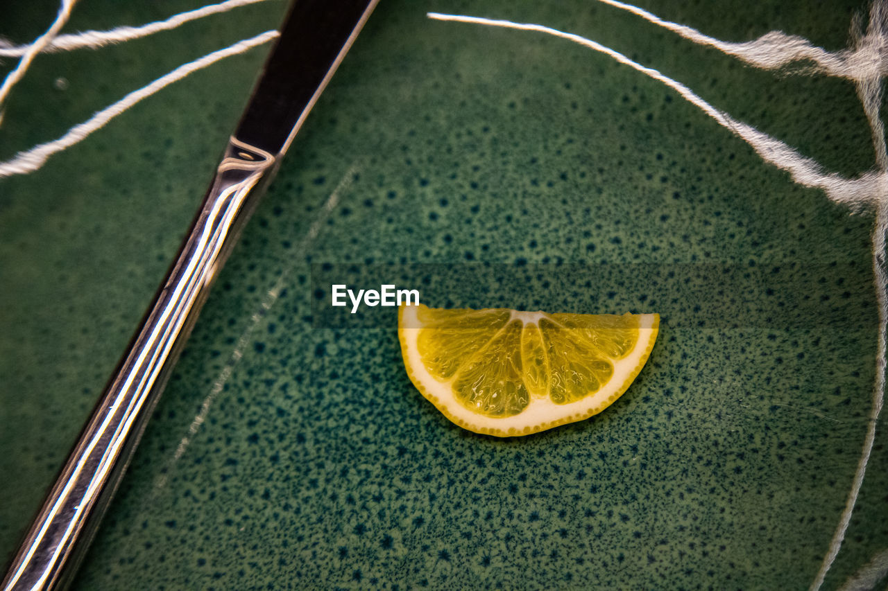 directly above shot of fruits on plate on table