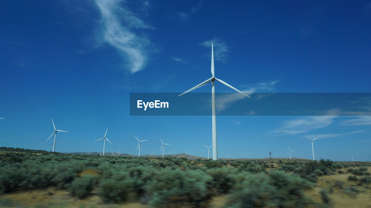 LOW ANGLE VIEW OF WINDMILLS ON FIELD AGAINST BLUE SKY