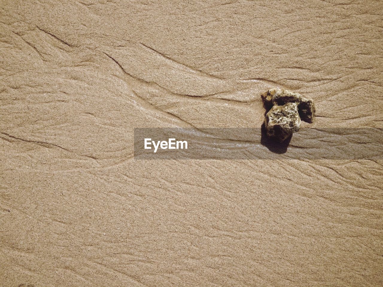 HIGH ANGLE VIEW OF A HORSE ON SAND