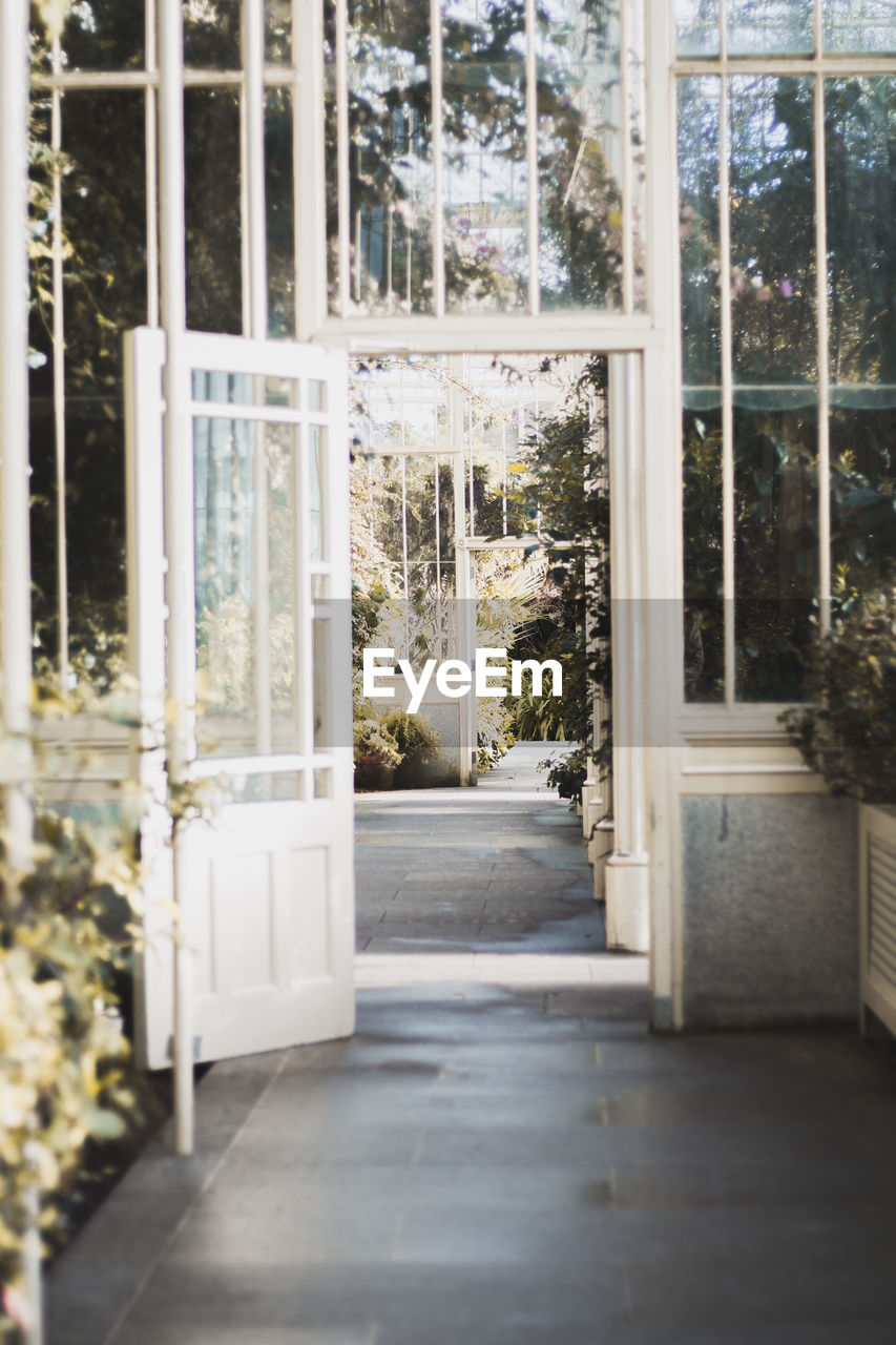 Trees and plants seen through doorway in greenhouse