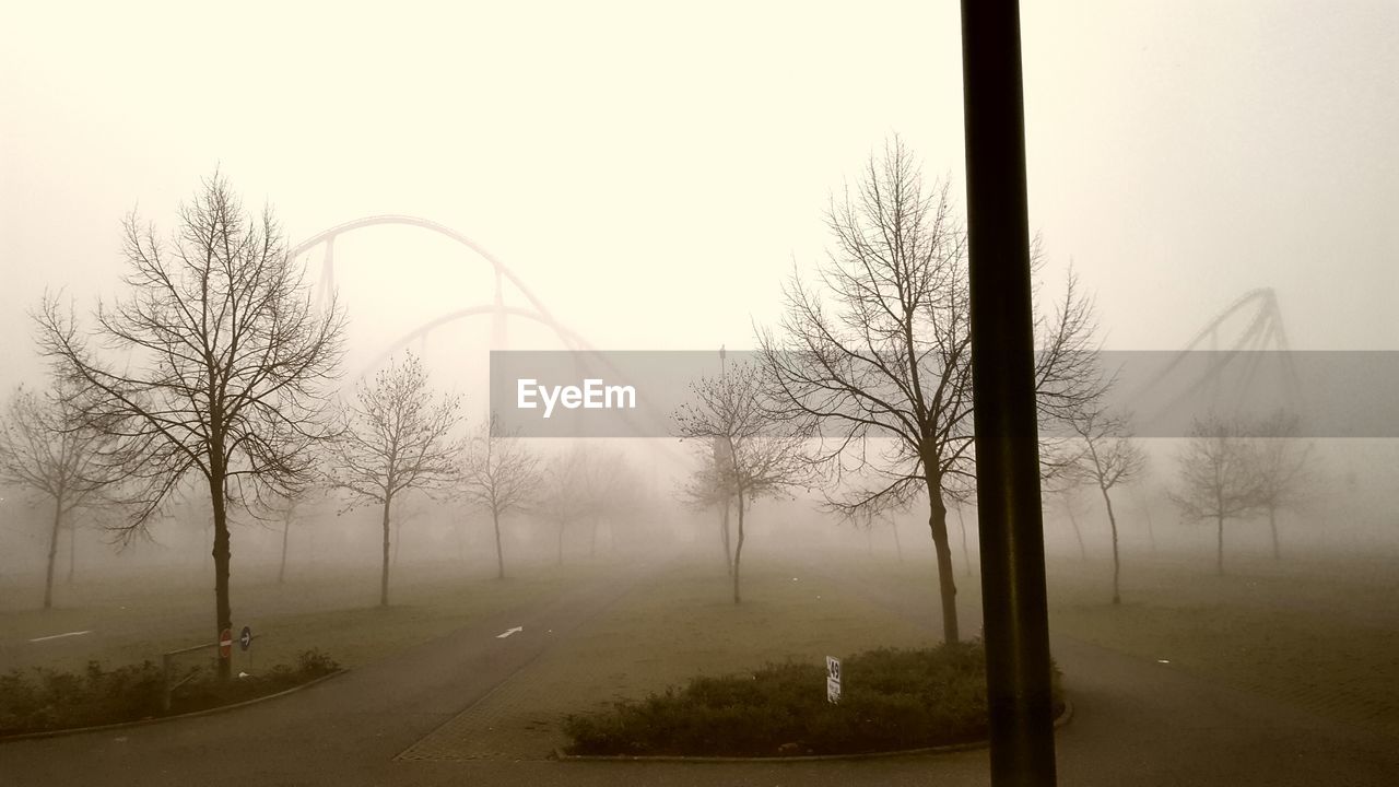 Bare trees at park against sky during foggy weather