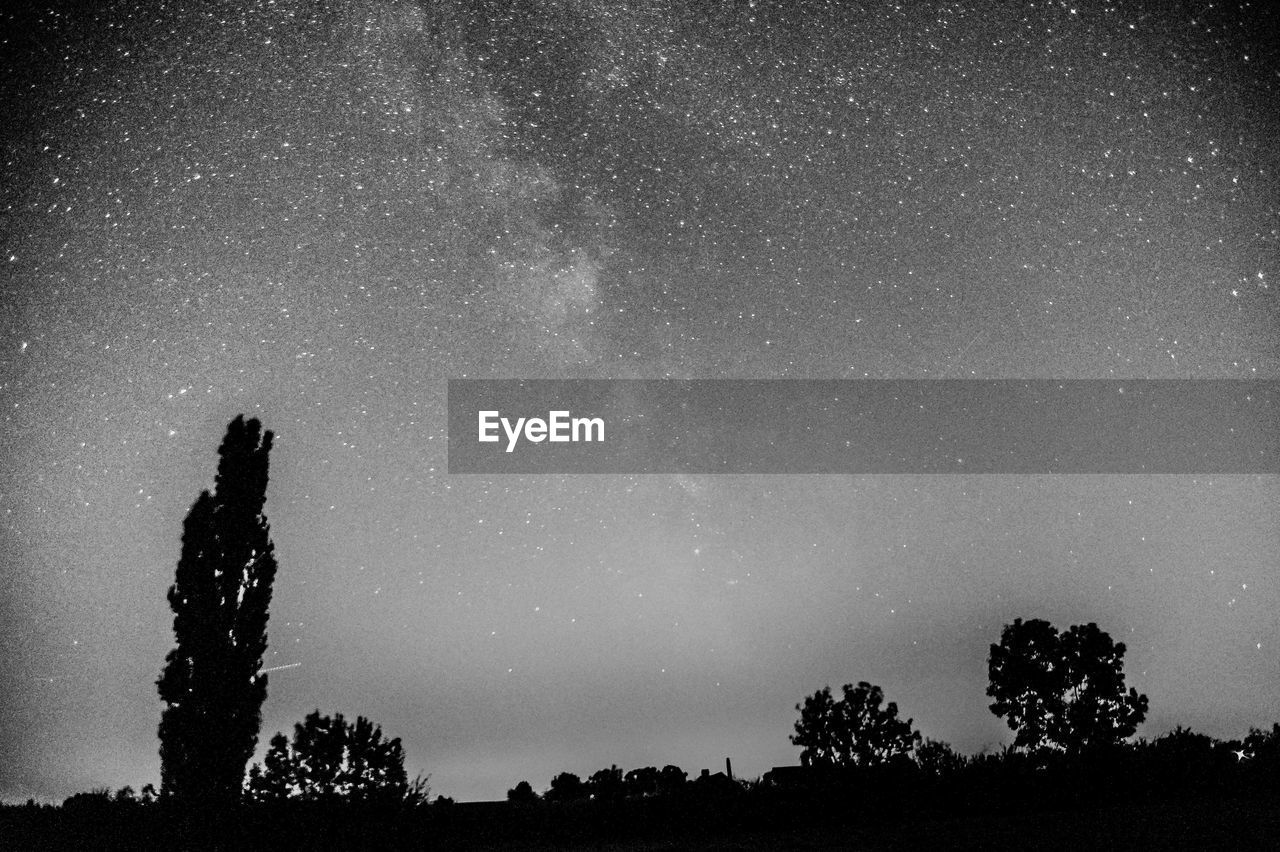 Low angle view of silhouette trees against sky at night