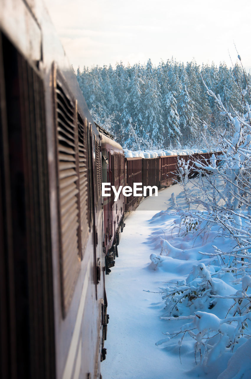 View of train by trees during winter