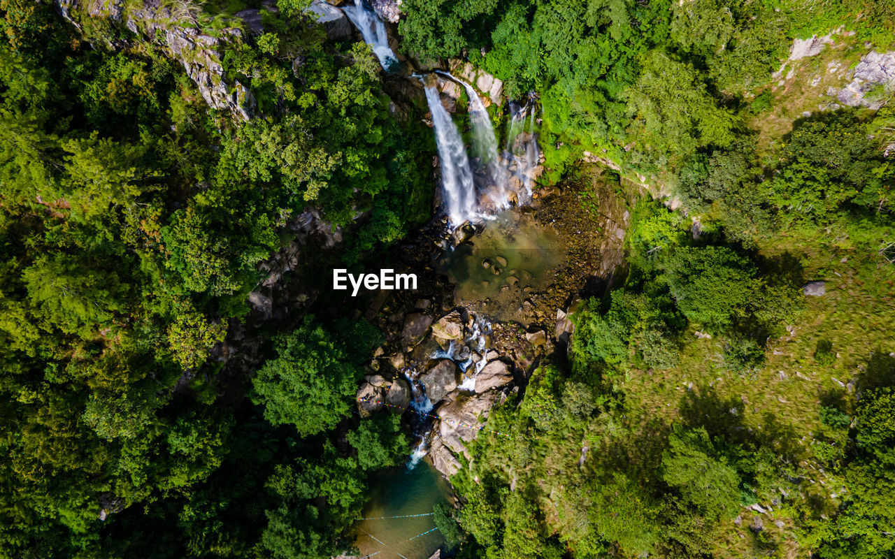 waterfall, water, plant, tree, nature, water feature, beauty in nature, scenics - nature, green, forest, land, rainforest, day, motion, high angle view, stream, flowing water, growth, no people, rock, environment, outdoors, moss, non-urban scene, body of water, woodland, tranquility, jungle, river, long exposure, wilderness, foliage, lush foliage, leaf, tranquil scene, autumn, flowing, travel destinations, vegetation