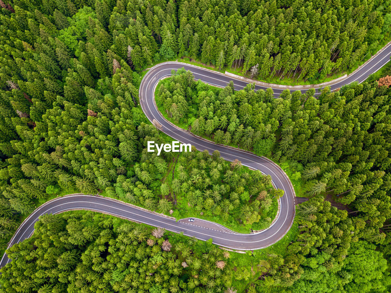 green, plant, road, tree, aerial view, environment, curve, landscape, transportation, no people, land, nature, growth, forest, high angle view, beauty in nature, scenics - nature, aerial photography, winding road, foliage, non-urban scene, day, lush foliage, tranquility, outdoors, rural scene, field, tranquil scene, travel, mode of transportation, highway