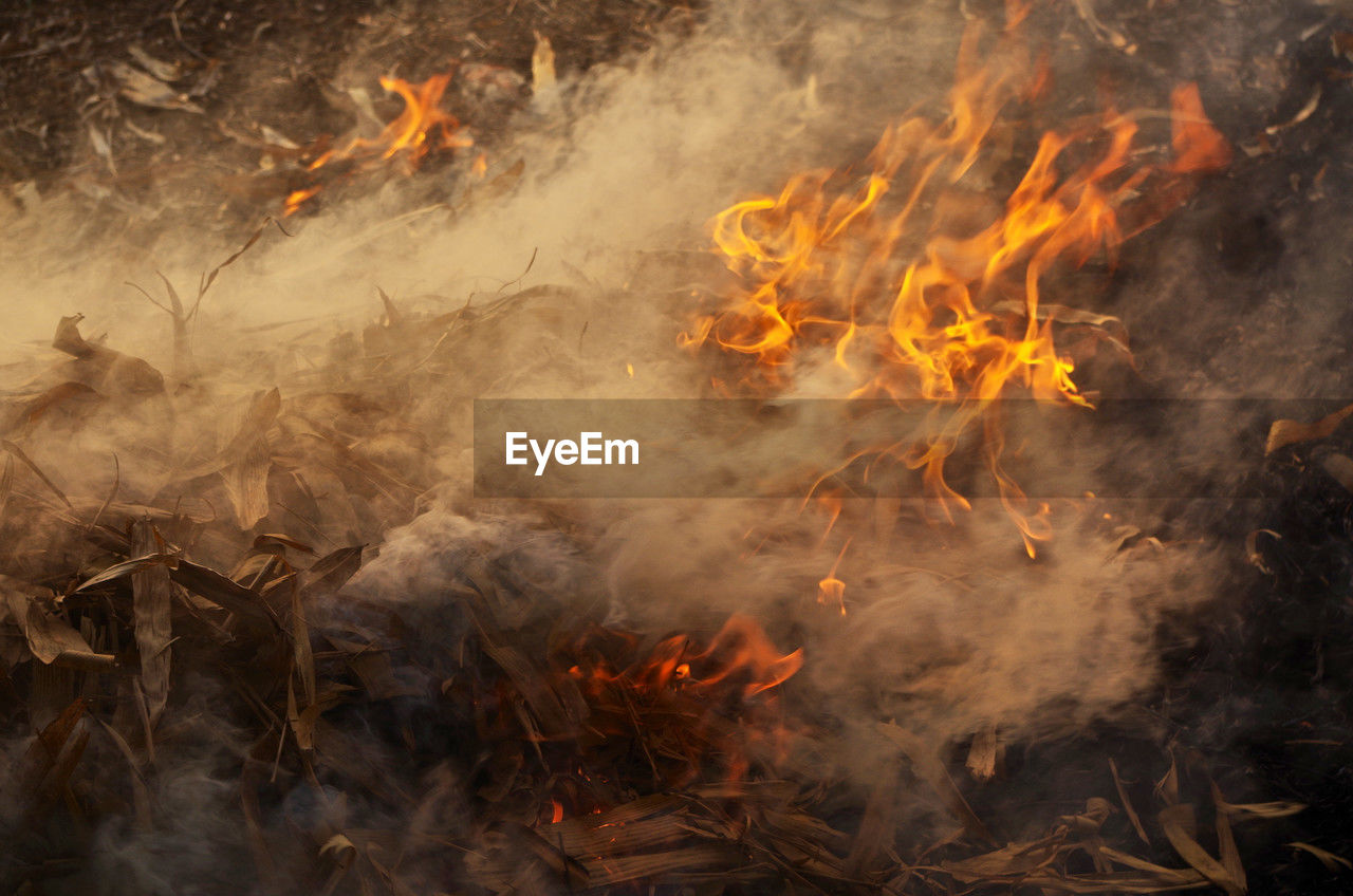 burning, fire, smoke, nature, flame, heat, no people, motion, environment