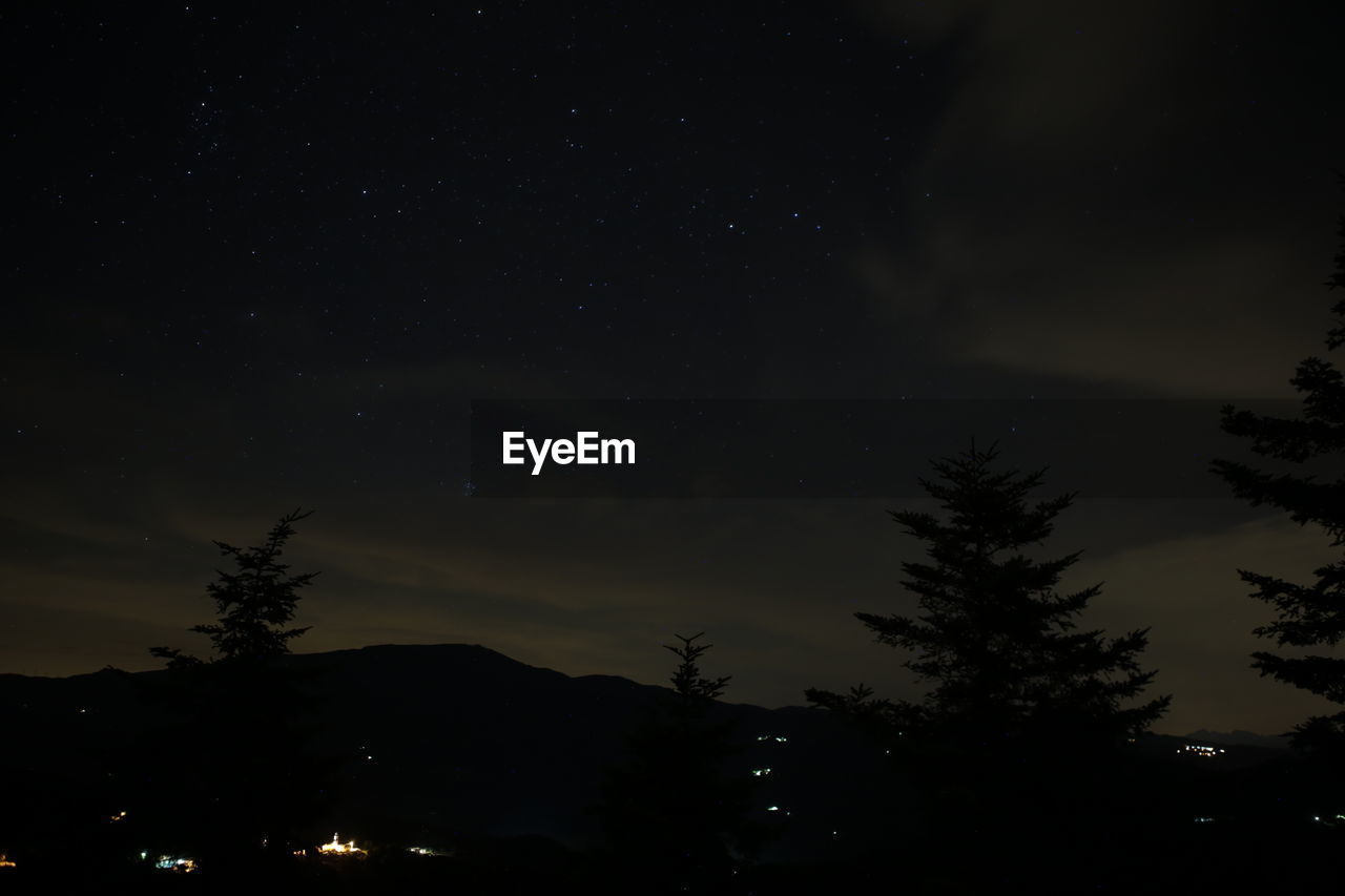 Low angle view of silhouette trees against sky at night