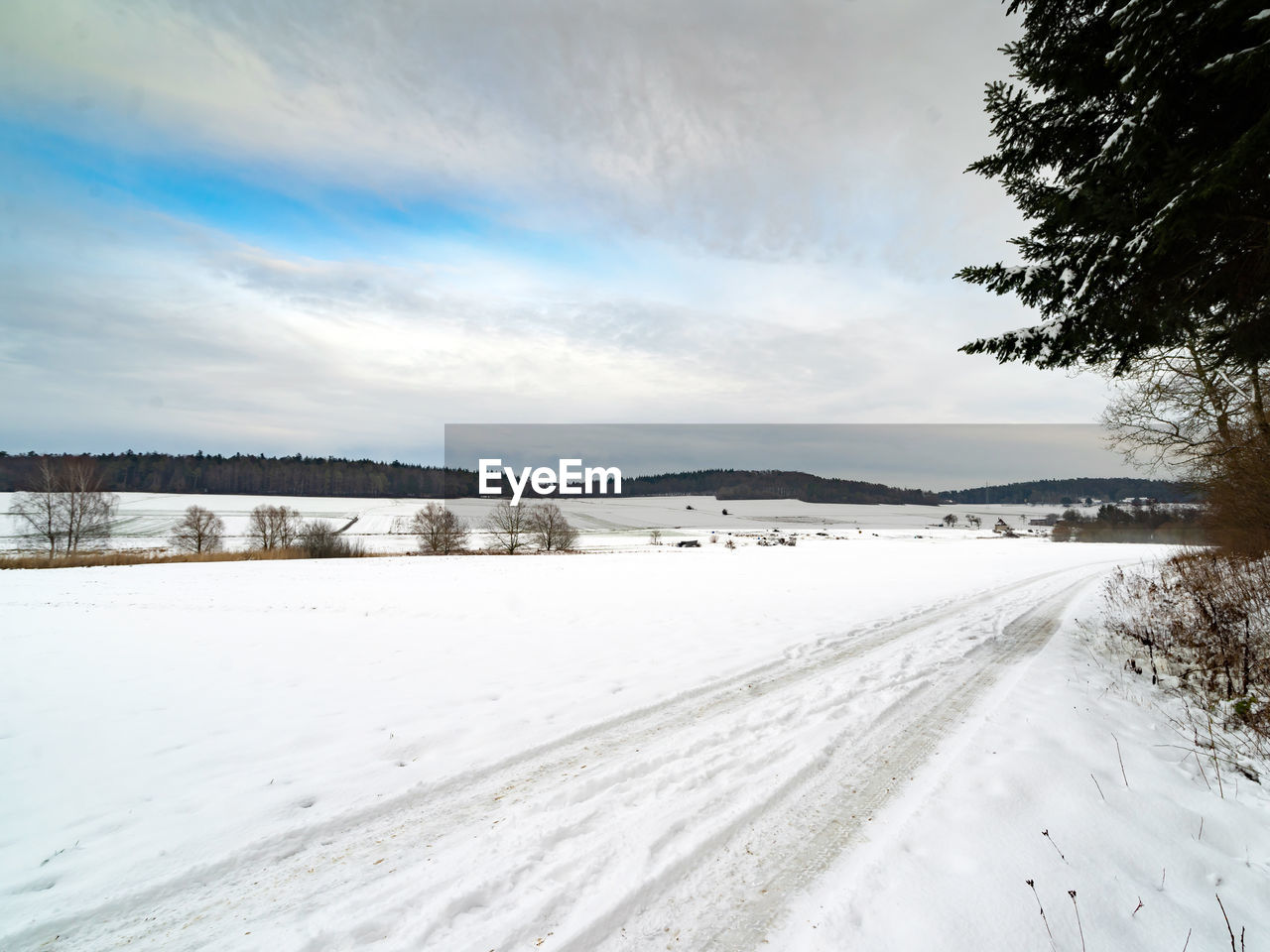 SNOW COVERED LAND AND TREES AGAINST SKY