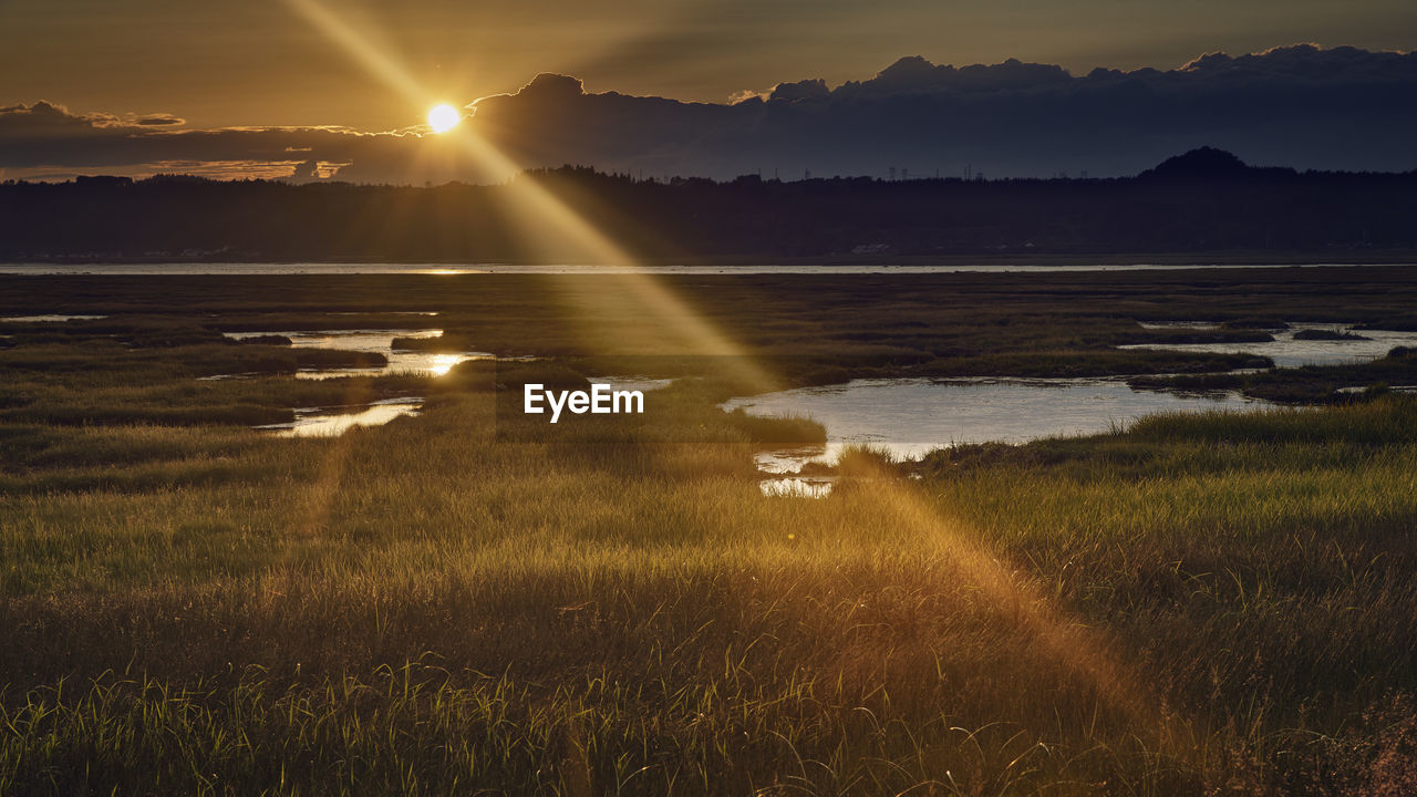 Scenic view of field against sky during sunset