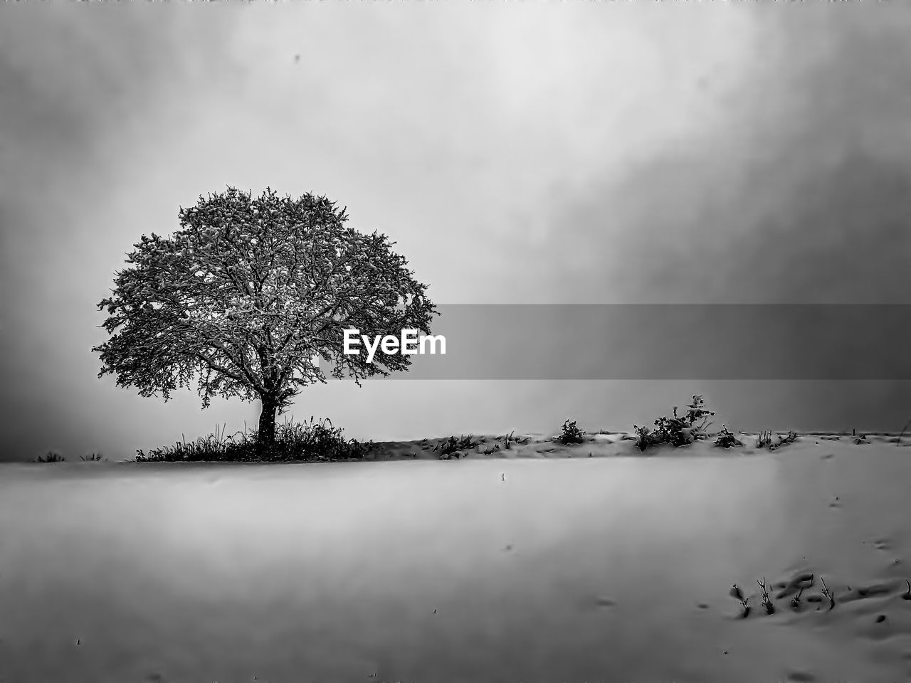 black and white, tree, monochrome, monochrome photography, plant, sky, cloud, environment, water, nature, landscape, tranquility, beauty in nature, scenics - nature, morning, mist, no people, land, fog, horizon, lake, tranquil scene, reflection, outdoors, darkness, overcast, atmospheric mood, snow, non-urban scene, branch, storm, cloudscape, single tree, dramatic sky, day