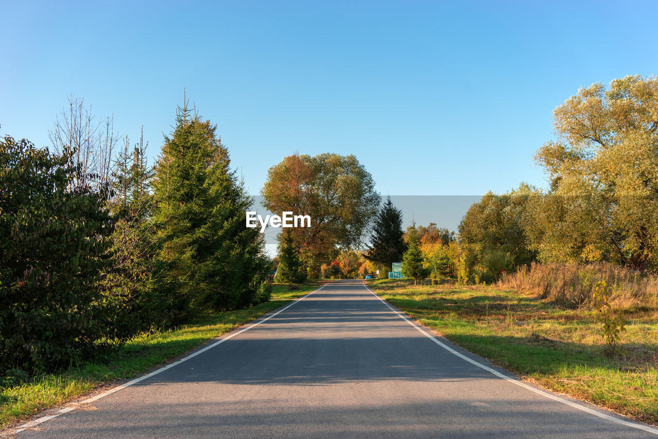 Road amidst trees against clear sky during autumn