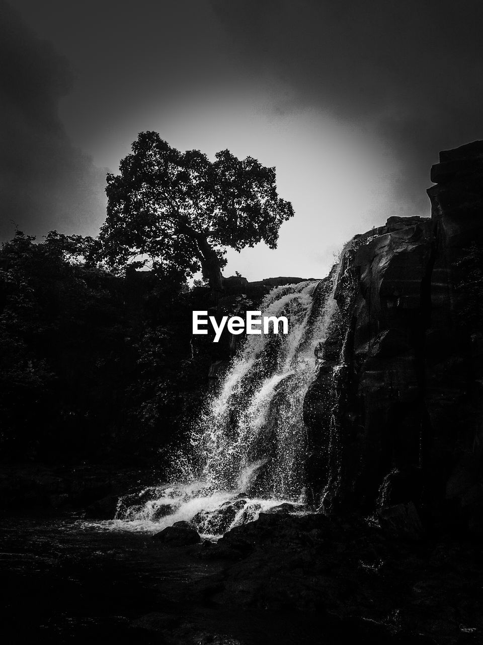 SCENIC VIEW OF WATERFALL IN FOREST