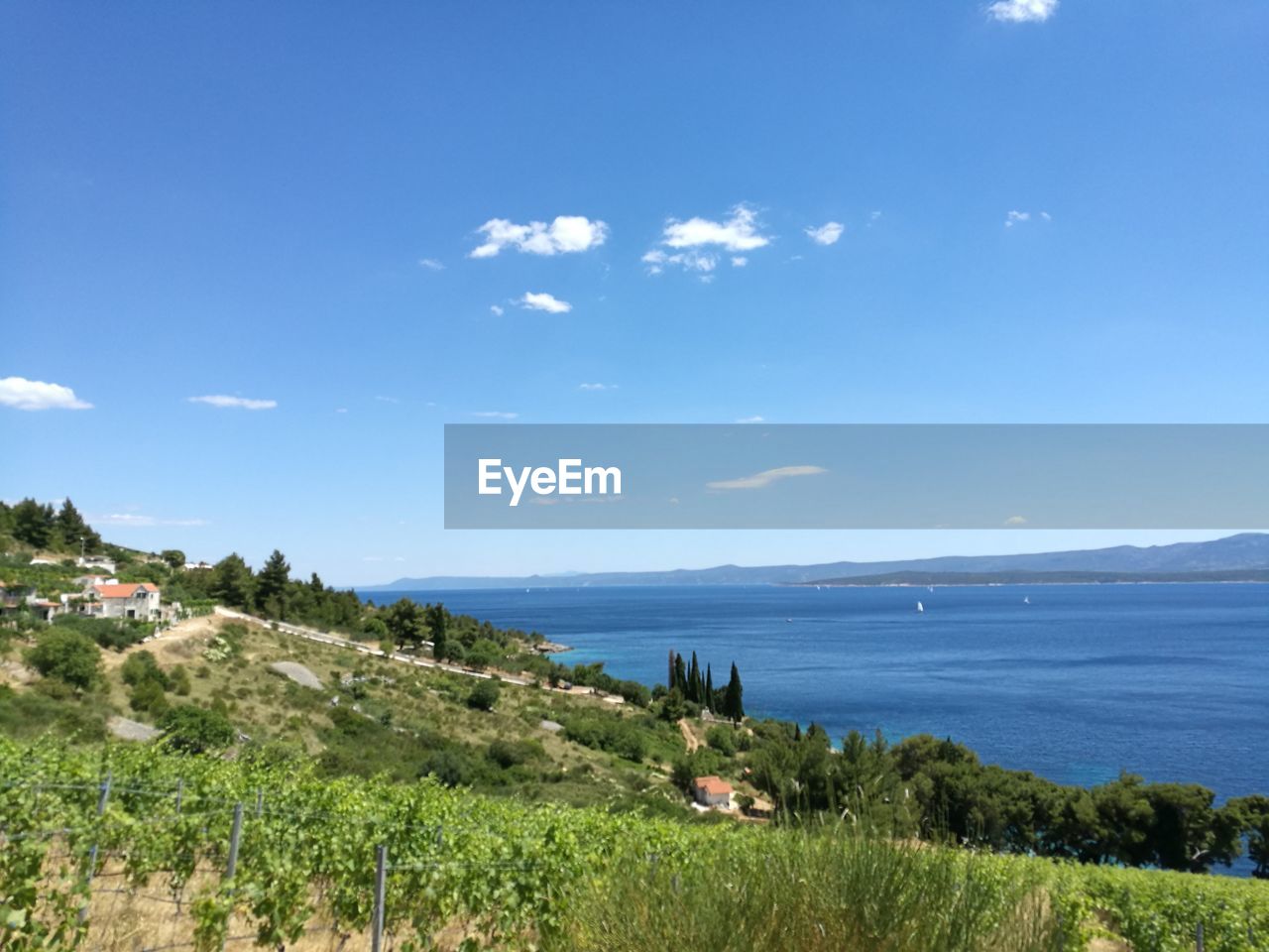 SCENIC VIEW OF BEACH AGAINST BLUE SKY