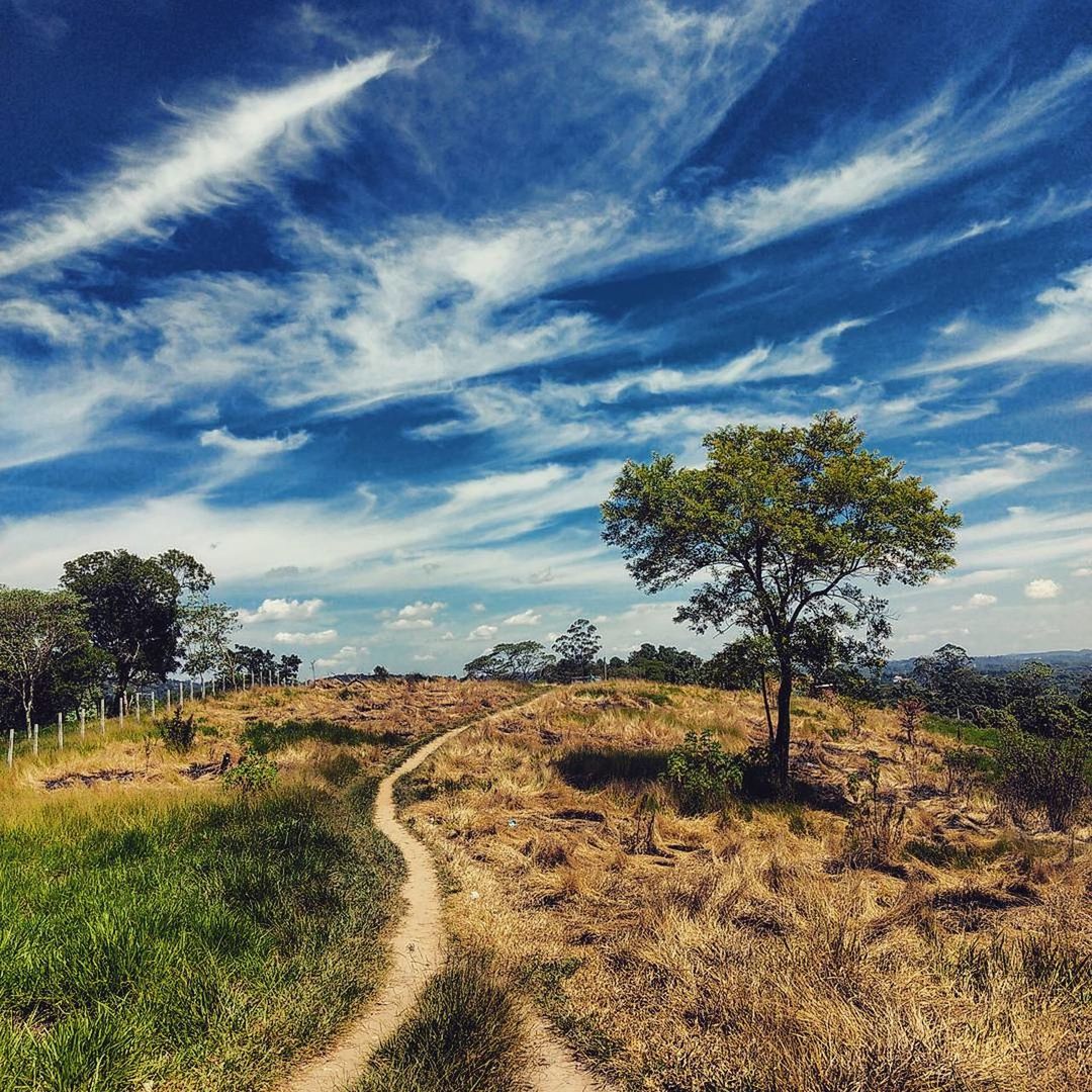 Scenic landscape against cloudy sky