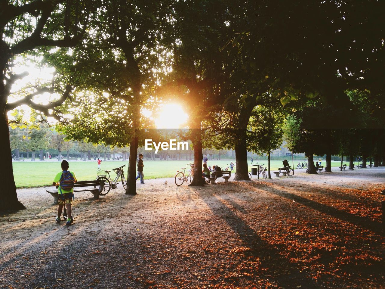 People relaxing at park during sunset