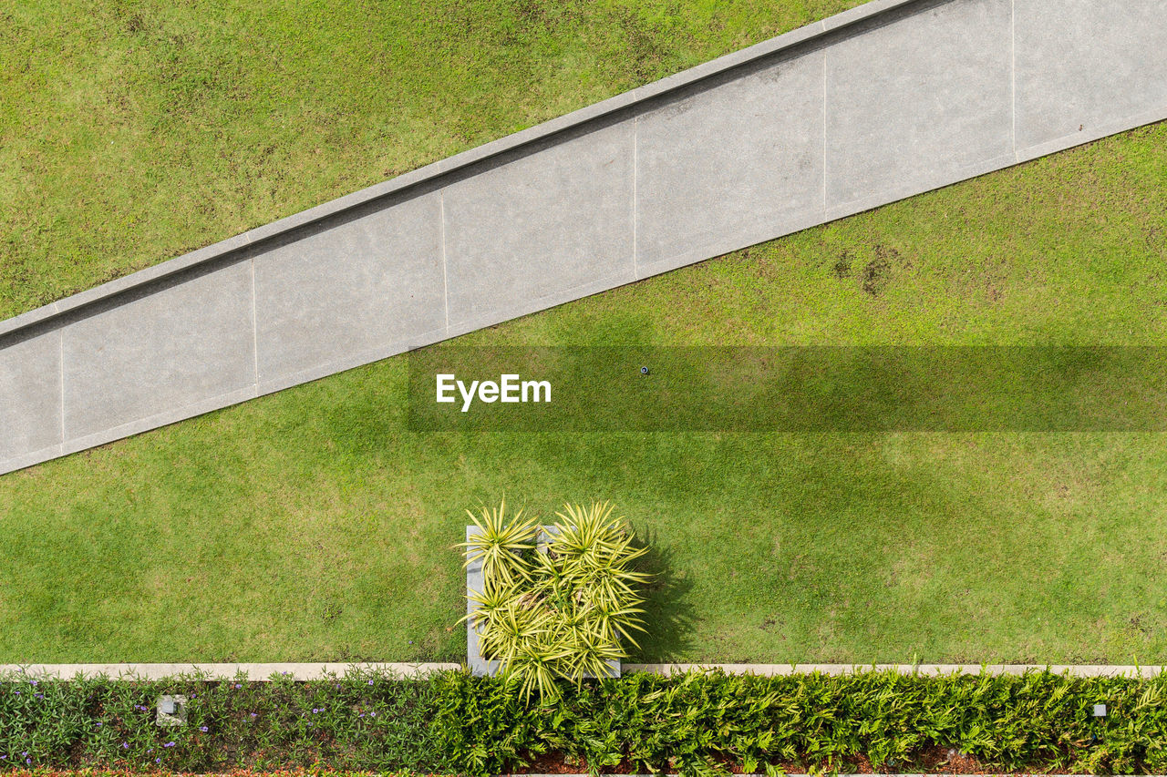 HIGH ANGLE VIEW OF PLANTS ON FIELD