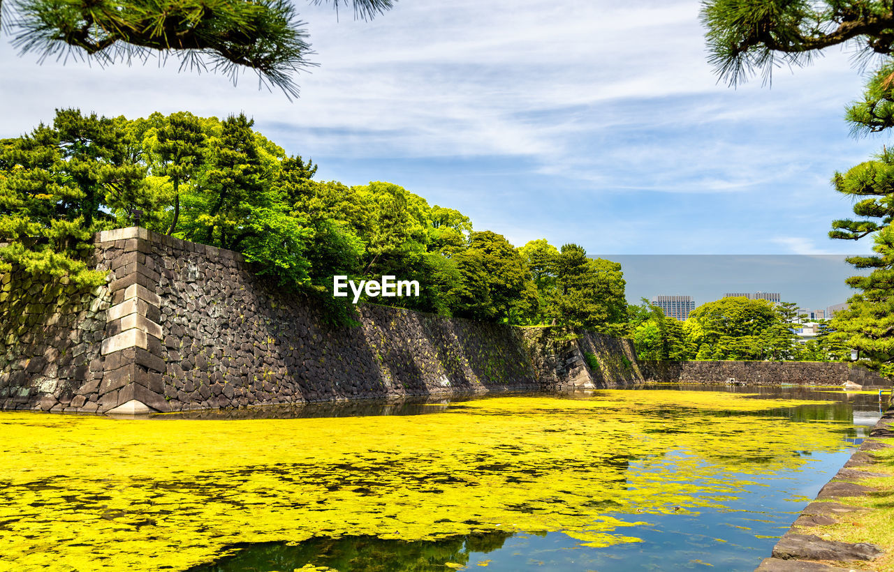 SCENIC VIEW OF LAKE AMIDST TREES AGAINST SKY