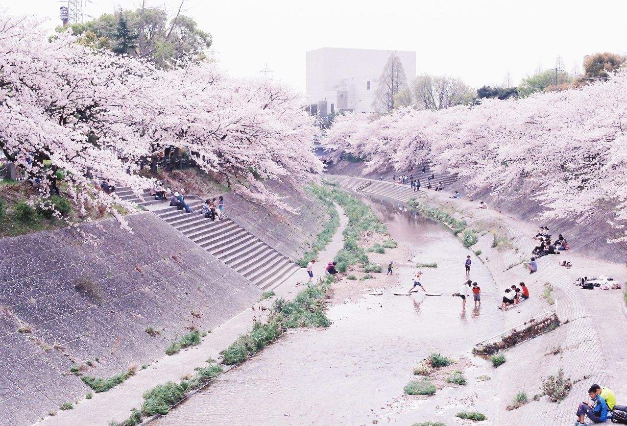 High angle view of people on river by flowering trees