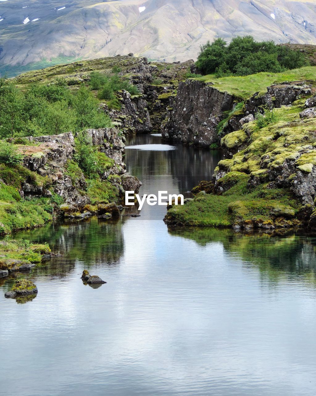 SCENIC VIEW OF LAKE AGAINST TREES