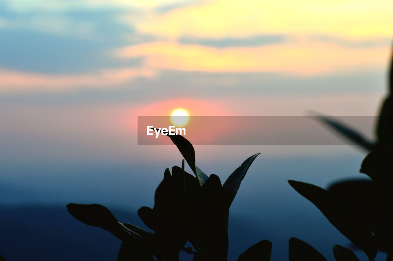 CLOSE-UP OF SILHOUETTE HAND AGAINST SUNSET