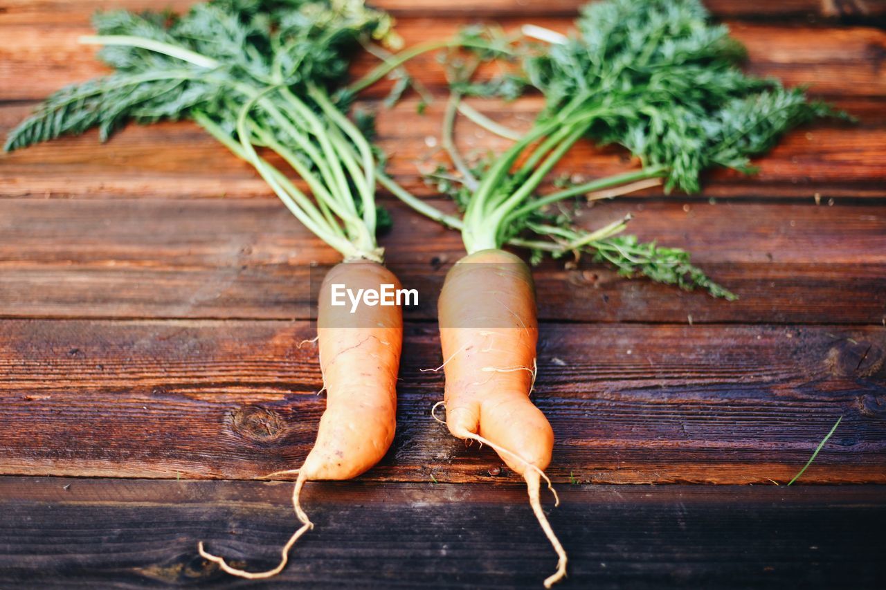 CLOSE-UP OF FRESH VEGETABLES