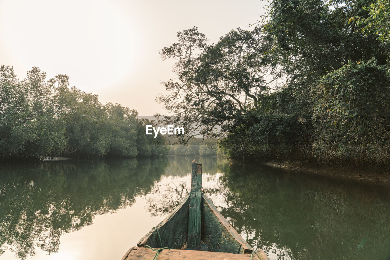 Scenic view of lake in forest against sky